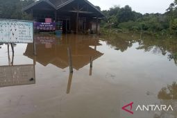 BPBD Papua Barat: Pemkab-Pemkot antisipasi cuaca ekstrim