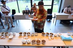 Ijen coffee market 2022