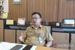 Pemprov Papua Barat tidak anggarkan bantuan UMKM