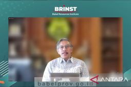 Pj Gubernur Babel sebut 123.000 hektare lahan kritis akibat tambang ilegal