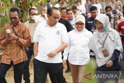 Wamendes PDTT apresiasi PT Timah bentuk kawasan berbasis agribisnis