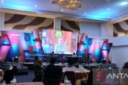 Ridwan Djamaluddin: samakan persepsi timah Indonesia dengan penguasaan negara