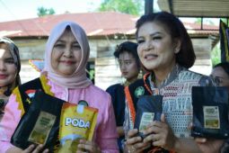 Ketua PKK Sumut Kunjungi Desa Hatinya PKK di Desa Kalang Simbara Dairi