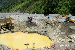 Ombudsman dorong penertiban pajak alat berat di Papua Barat