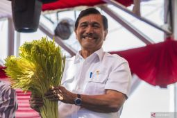 Jubir klarifikasi video Luhut minta Kabareskrim Polri usut kasus Brigadir J