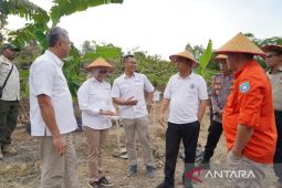 Kolaborasi dengan Pemerintah dan Gapoktan gerakan ekonomi masyarakat