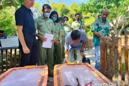 Senator Mangku Pastika beri nama dua bayi komodo di Bali Safari Park