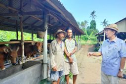 Mangku Pastika ingin pemda beri subsidi mesin untuk petani Bali