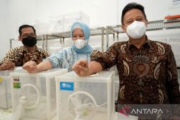 Kemenkes: Wolbachia tak berpotensi timbulkan penyakit baru