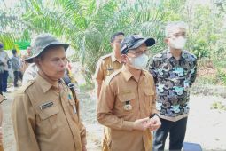 Pemkab Bangka Tengah terapkan teknologi TSS tingkatkan produksi bawang merah