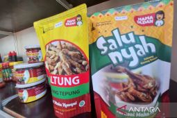 Ikan haruan yang bikin cuan