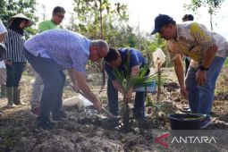 Delegasi ICOSEAT kunjungi Kampoeng Reklamasi PT Timah di Bangka