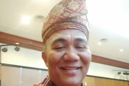 6.099 rumah di Kalbar dialiri listrik dari pembangkit listrik tenaga surya