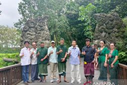 Anggota DPD: kendalikan populasi kera di Monkey Forest