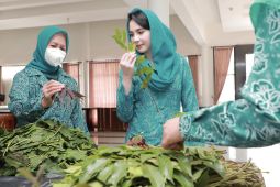 Arumi Bachsin sebut industri fesyen jadi peluang ekonomi menjanjikan
