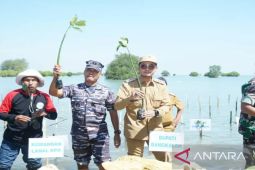Pemkab Bangkalan dan TNI AL bersinergi cegah abrasi pantai