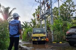 PLN Jatim tetapkan 16 desa tematik melalui penguatan ketenagalistrikan