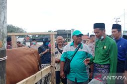 Pemkab Batanghari mulai vaksinasi PMK tahap pertama
