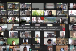 Balai TNBNW bersama mitra gelar Webinar Anoa