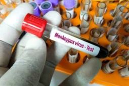 News Focus  --  Indonesia intensifies vigilance against monkeypox