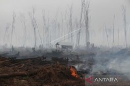 Musim panas sebabkan 68 hektare lahan Aceh terbakar