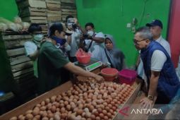 Rasio utang RI turun sampai harga telur, kemarin