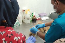 Puskeswan jaga kesehatan piaraanmu