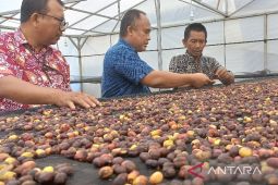 BI dampingi LPH audit 6 produk Koptan Maju Jaya Sipirok untuk dapatkan sertifikat label halal
