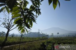 Aktivitas Gunung Raung