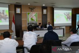 Gubernur Haris dorong PTPN VI bangun pabrik minyak goreng