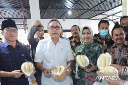 Menteri Zulkifli apresiasi Bupati Serang fasilitasi para pelaku UMKM