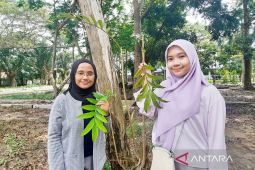 Riset Prodi Biologi FMIPA ULM tunjukkan daun sungkai bagus untuk kesehatan