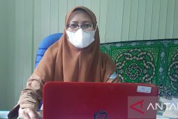 Pemerintah menyalurkan bantuan bibit cabai