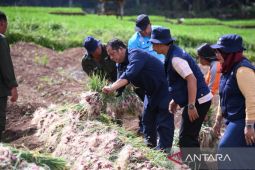 Pariwara - Padang Sidempuan siap jadi sentra komoditas bawang merah