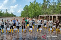 Sambut HUT ke 46, PT Timah Tbk tanam 4600 mangrove dan 46 rumpon di Belo Laut