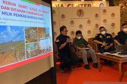KLHK dorong pidana berlapis untuk kasus lingkungan hidup dan kehutanan