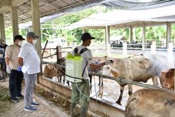 Maksimalkan penanganan, Pemkab Aceh Besar antar obat-obatan ke Puskeswan