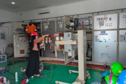 PLN UP2D Kalbar lakukan pemeliharaan jaringan listrik secara rutin