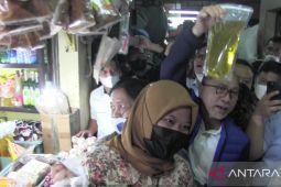 Mendag pastikan inflasi akibat harga kebutuhan pokok mulai terkendali