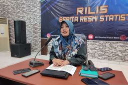 BPS: Lonjakan harga tiket penerbangan picu inflasi di Papua Barat