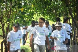 JCB-OISCA lanjutkan program penghijauan dan pembaruan bakau