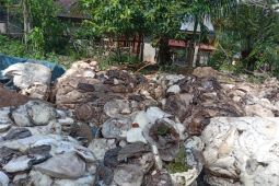 Harga getah petani karet dua desa di Palas tertinggi Rp11.500 per Kg