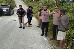 Warga sipil di Dogiyai ditembak OTK