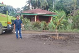 Warga tanam pohon pisang di badan jalan Padang Tualang
