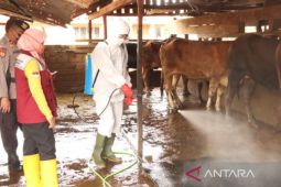Indonesia dapat bantuan FAO & Australia tangani PMK