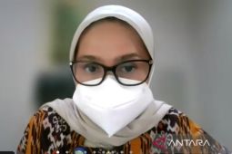 Satgas Monkeypox: belum ada kasus cacar monyet di Indonesia