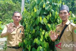 Pemdes Sendoyan sampaikan terima kasih kepada Presiden atas inpres perbatasan