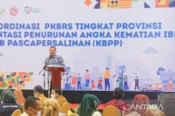BKKBN Jabar targetkan 100 persen ibu dapat pelayanan KB pascapersalinan