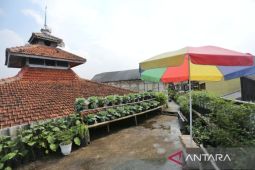 "Urban farming" jadi perhatian untuk Forum U20, kata Pemkot Bandung