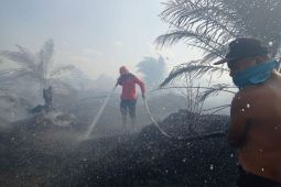 Luas lahan terbakar di Riau lebih seribu hektare